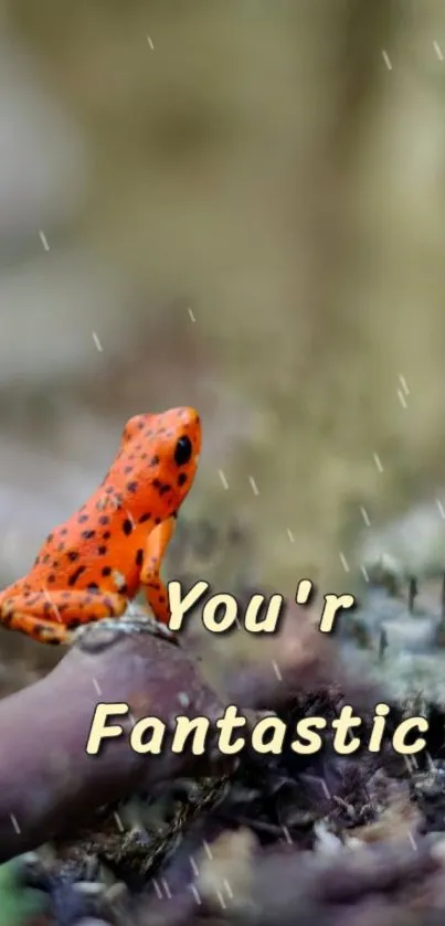 Orange frog with 'You’re Fantastic' text in forest setting.