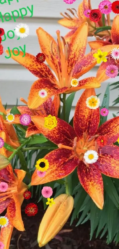 Vibrant orange lilies blooming with green leaves and joyful text.