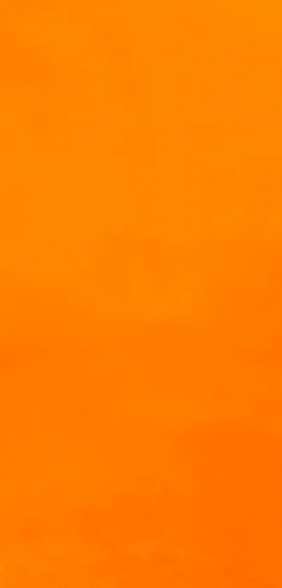 Vibrant orange wallpaper for mobile devices, offering a bold and modern look.