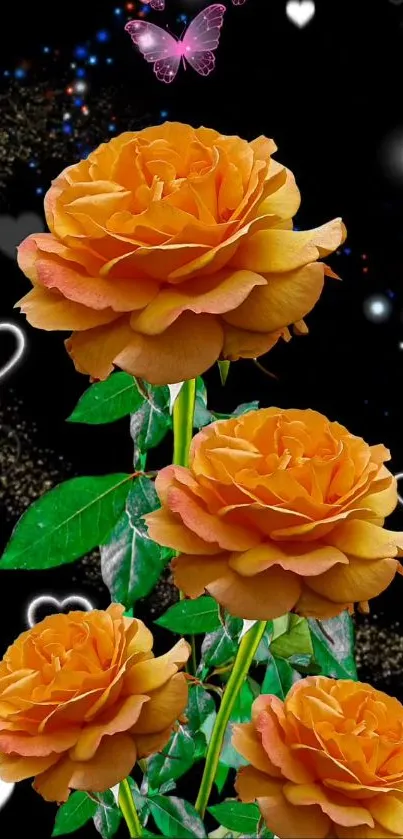 Orange roses with a butterfly and hearts on black background.