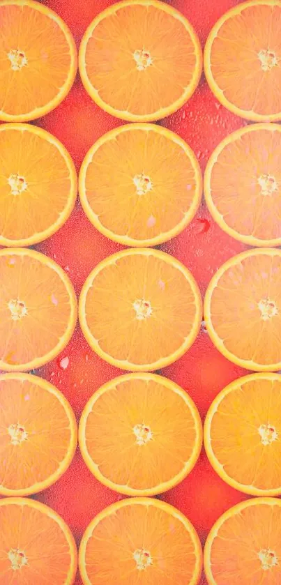 Orange slices on a vibrant red background wallpaper.