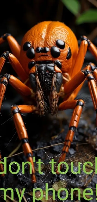 Vibrant orange spider mobile wallpaper with green text 'don't touch my phone'.