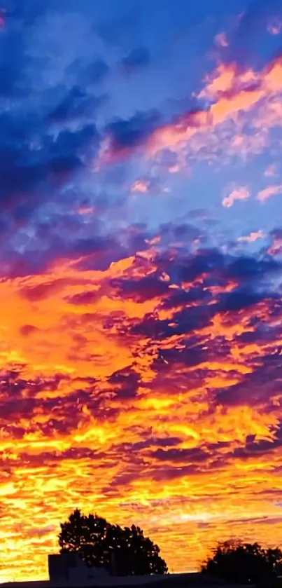 Vibrant orange and purple sunset sky over a silhouette of trees.