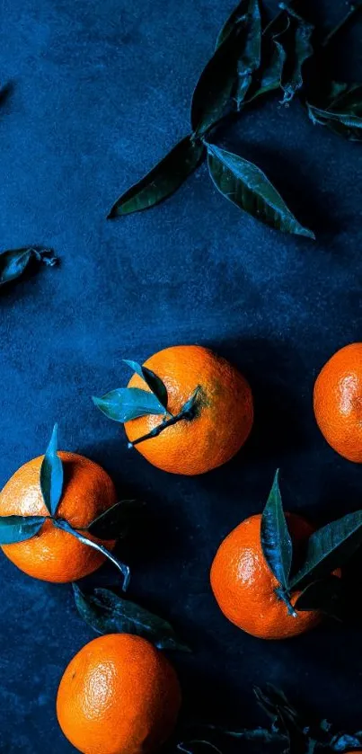 Vibrant oranges and leaves on a dark blue background wallpaper.