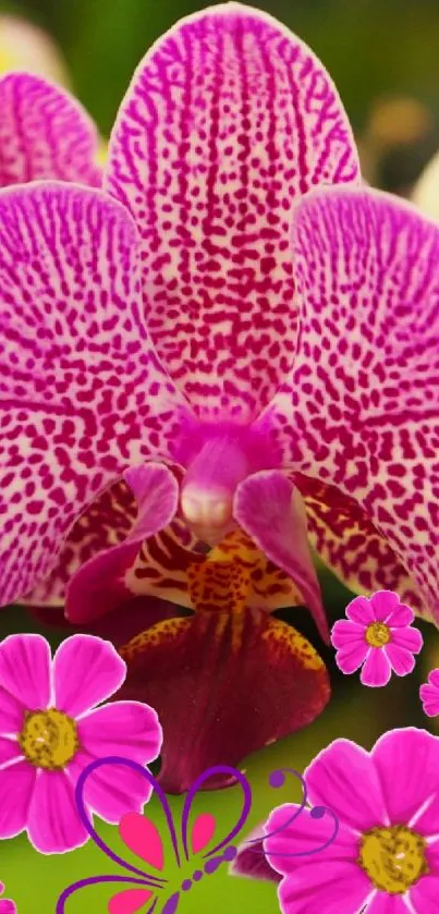 Vibrant pink orchid with intricate petals