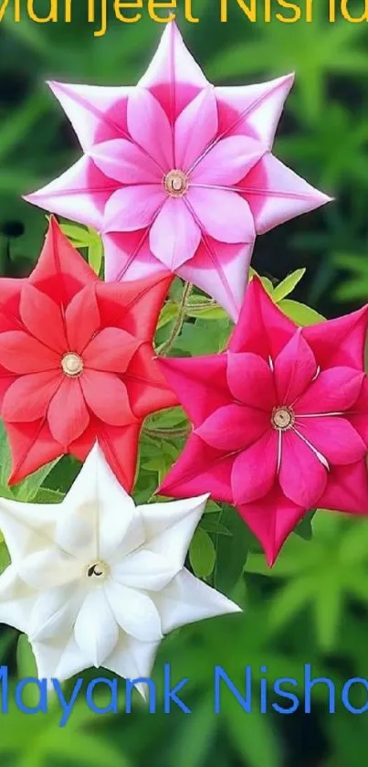 Colorful origami flowers with green background.