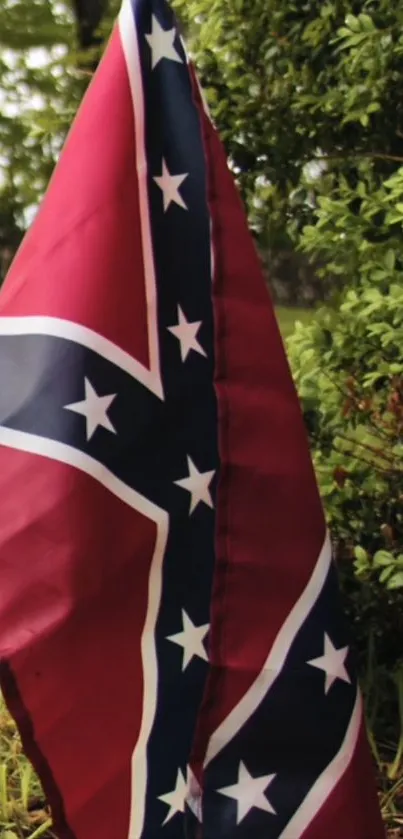 Colorful flag standing against a green bush background.