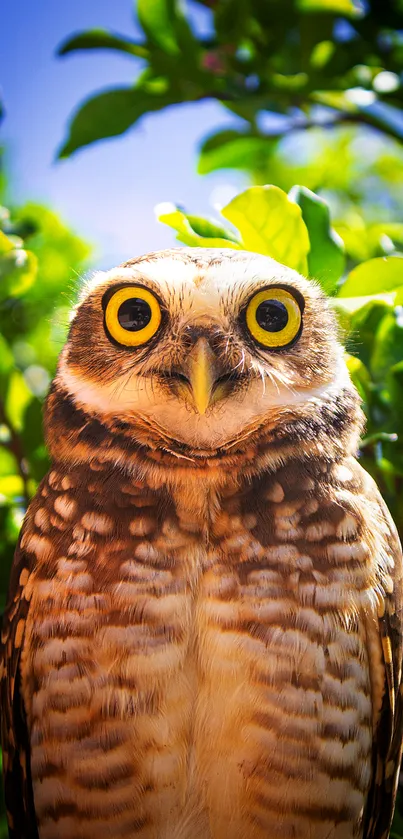 Vibrant owl with yellow eyes in lush greenery.