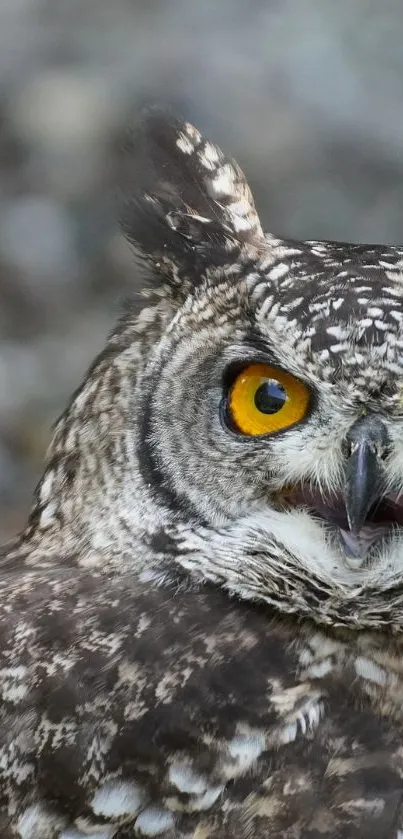 Close-up of owl with vibrant yellow eyes and detailed feathers on mobile wallpaper.