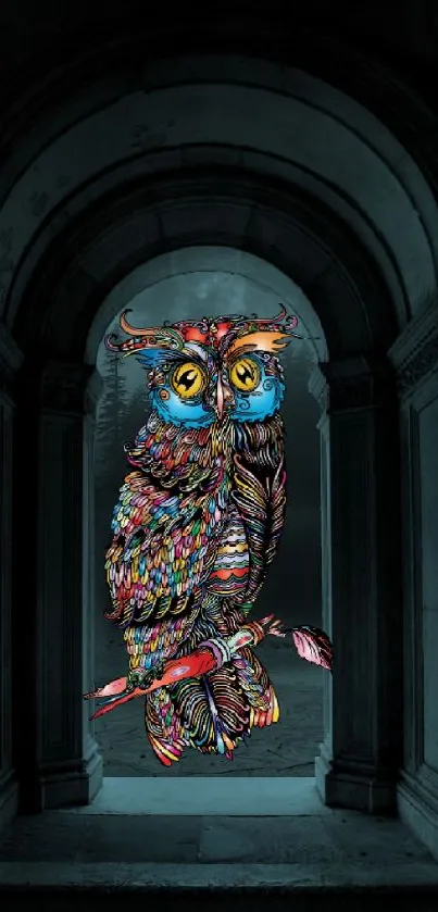 Colorful owl in dark gothic archway background.