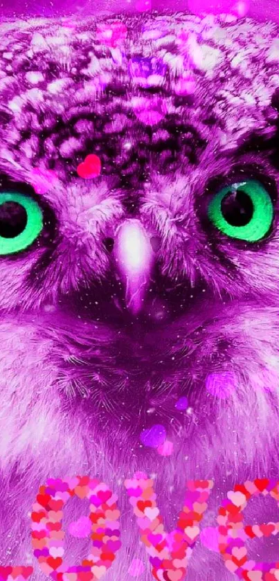 Vibrant purple owl with love text in cosmic background.