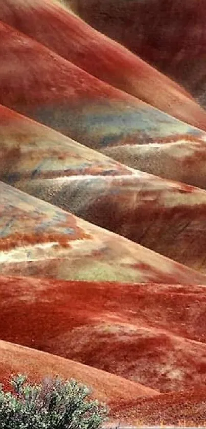 Vibrant Painted Hills showcasing red and earth tones.