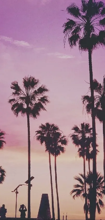 Silhouetted palm trees at sunset with a vibrant purple sky backdrop.