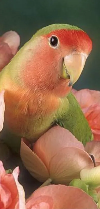 Parrot with pink blossoms on a dark green background.