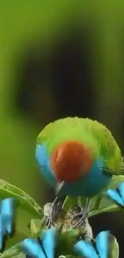 A vibrant green parrot with blue butterflies on a leaf.