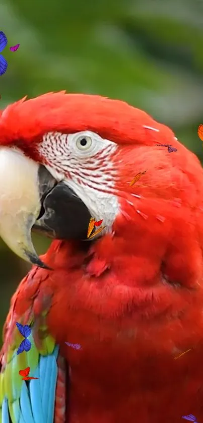 Vibrant parrot with colorful butterflies on a lush background.