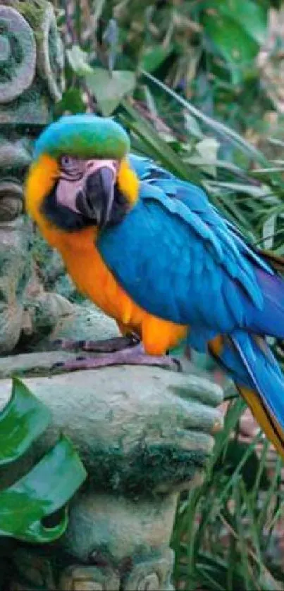 Colorful parrot on a jungle statue with green foliage background.