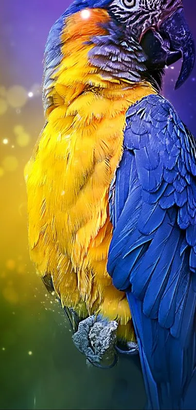 Vibrant parrot with yellow and blue feathers on a mystical background.