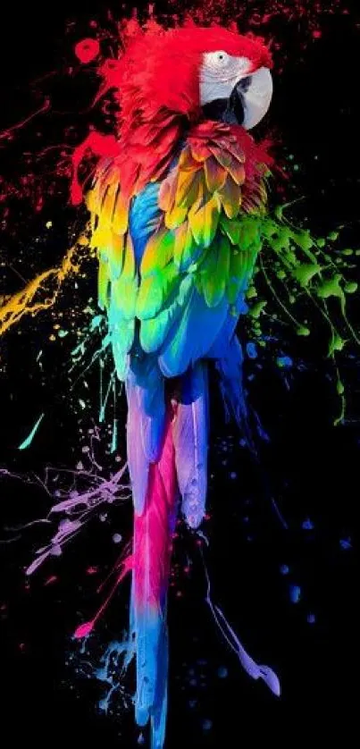 Vibrant parrot with splash effect on black background mobile wallpaper.