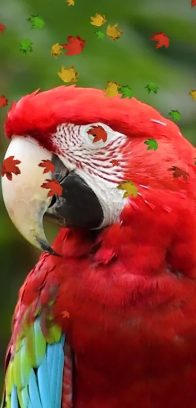 Vibrant red parrot with colorful autumn leaves in lush green background.