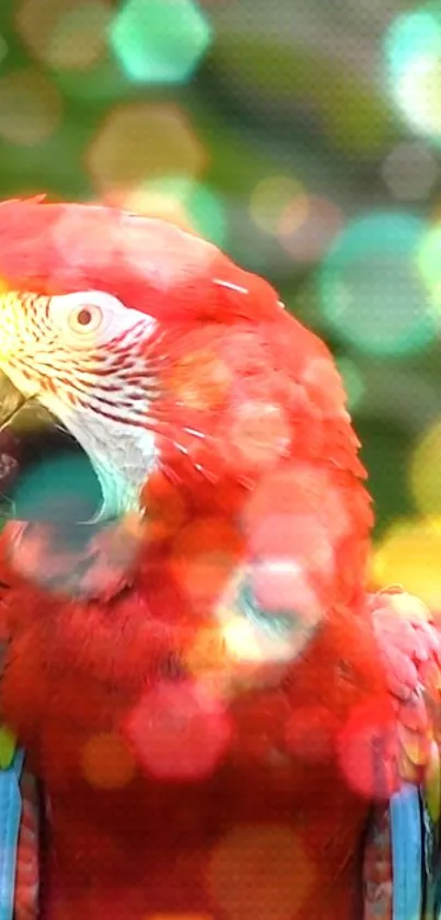 Vibrant red parrot with colorful bokeh background.