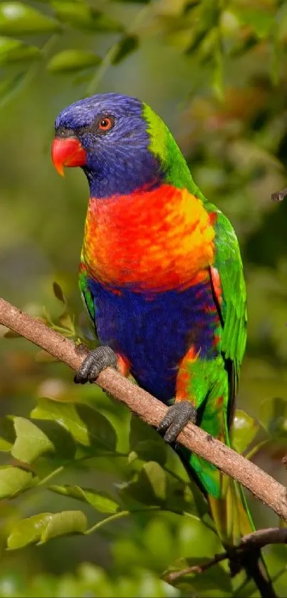 Vibrant parrot perched on tree branch in lush greenery.