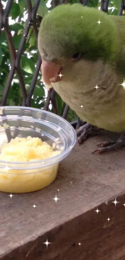 Green parrot eating beside a small dish on a wooden beam.