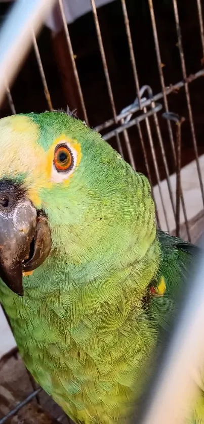 Close-up of a vibrant green parrot in a cage, showcasing vivid colors.