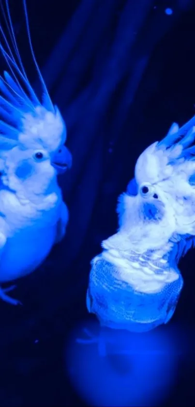 Artistic illustration of two glowing blue parrots.
