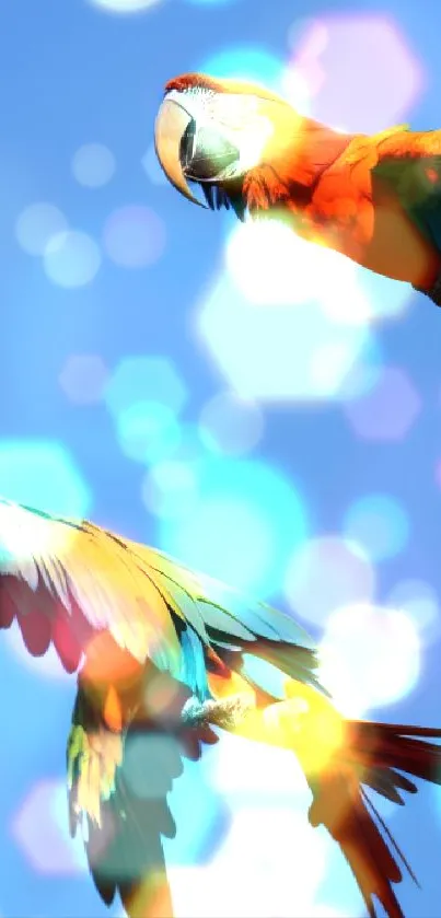 Two colorful parrots flying in a clear blue sky.