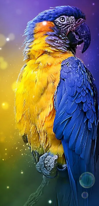 Colorful parrot on a mystical, vibrant background wallpaper.