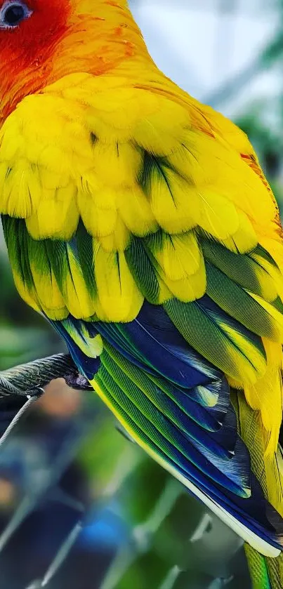 Close-up of a vibrant parrot with yellow and green feathers.