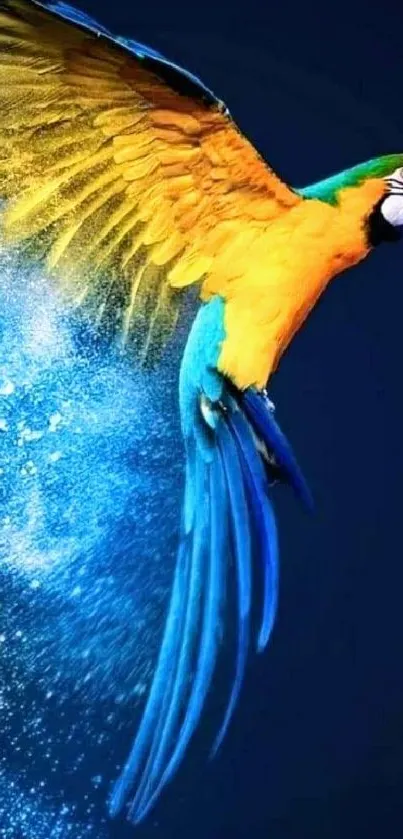 A vibrant parrot flying with colorful blue and yellow feathers.