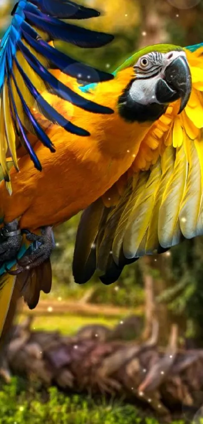 Vibrant parrot in flight with colorful feathers against a forest background.