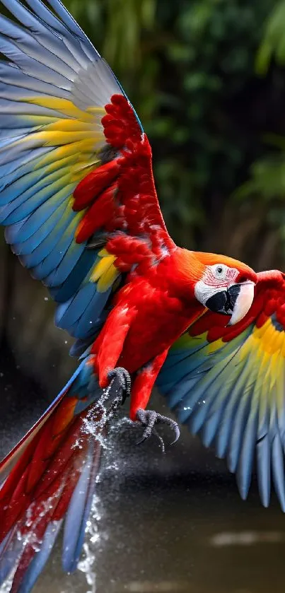 Dynamic parrot in flight with vivid red, yellow, and blue feathers over water.