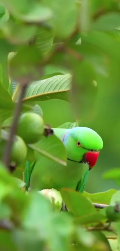 Green parrot nestled among lush leaves in a serene forest setting.