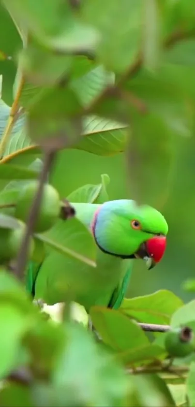 A vibrant green parrot perched in lush foliage.