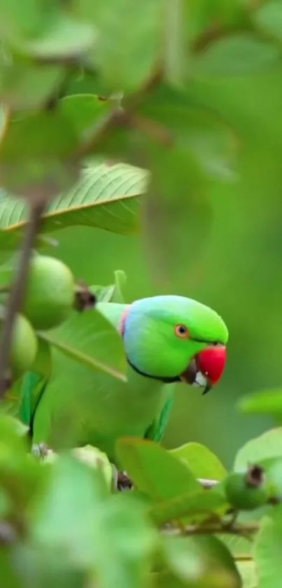 Vibrant green parrot among lush foliage, vivid nature scene.