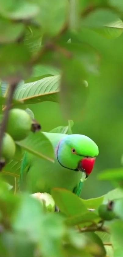 A bright green parrot amidst dense leaves.