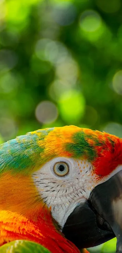 Vibrant parrot with colorful feathers amidst lush green bokeh background.