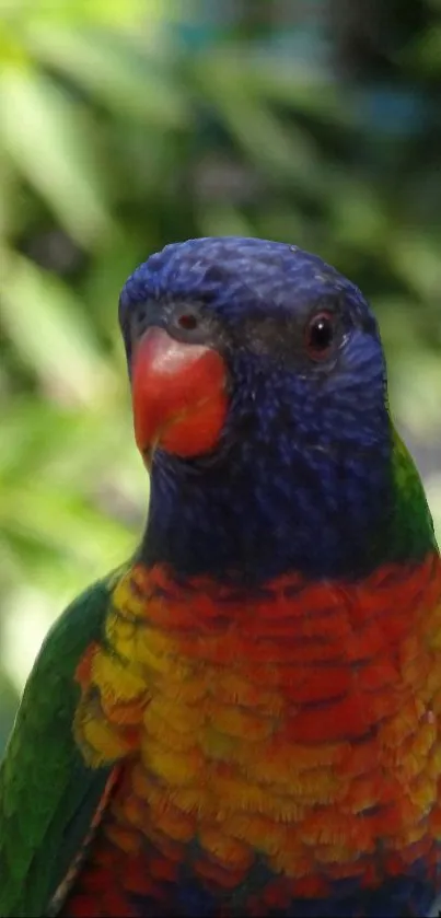 Colorful parrot perched in lush jungle greenery.