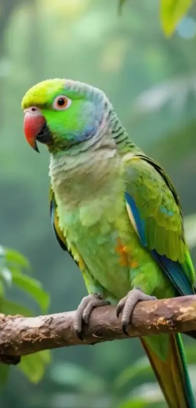 Green parrot perched in lush tropical jungle.