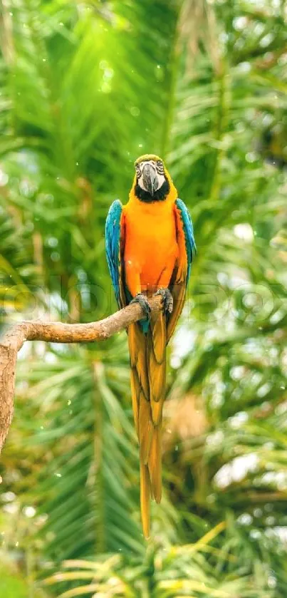 Vibrant parrot perched in lush tropical jungle.