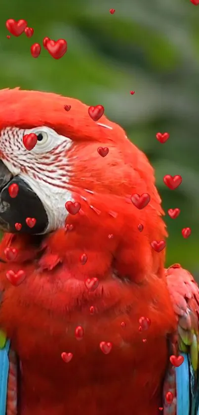 Vibrant red parrot with hearts on a tropical background.