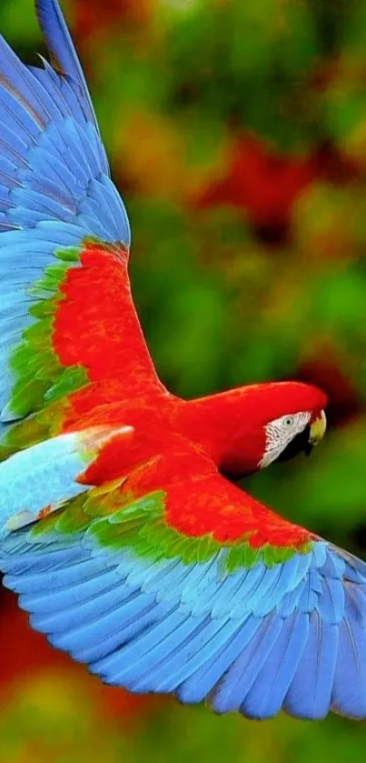 Colorful parrot with red, blue, and green plumage against a green background.