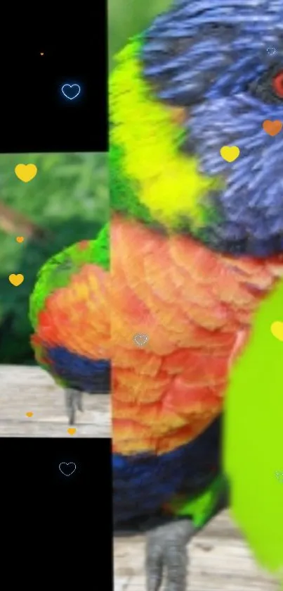 Colorful parrot with green backdrop mobile wallpaper.