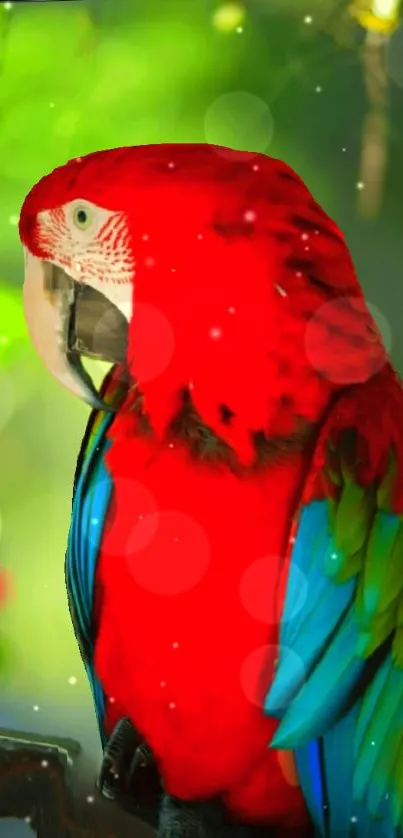 Vibrant red parrot on a lush green background with bokeh effect.