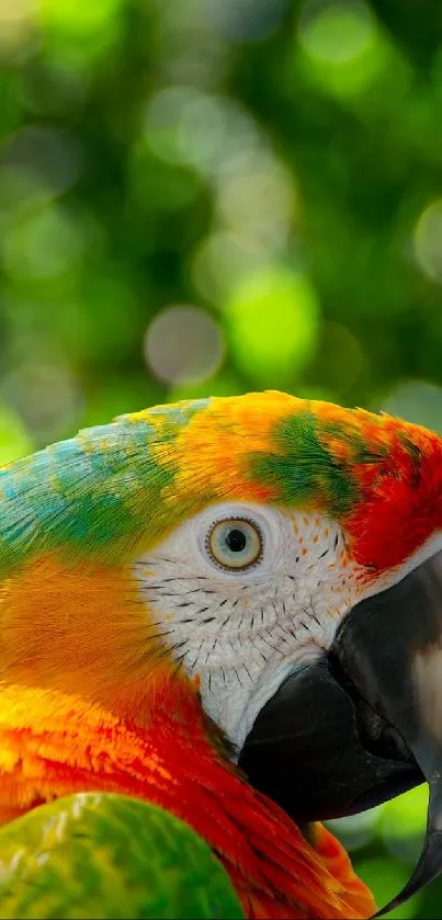 Close-up of a vibrant parrot with a lush green background.