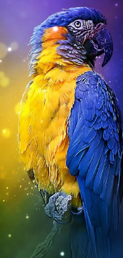 Bright blue and yellow parrot on a dreamy background.