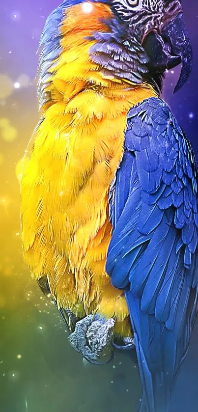 Colorful parrot wallpaper with vibrant yellow and blue hues.